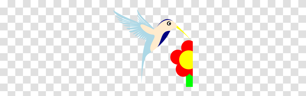 Download Beak Clipart Hummingbird Beak Clip Art Bird Wing, Animal Transparent Png