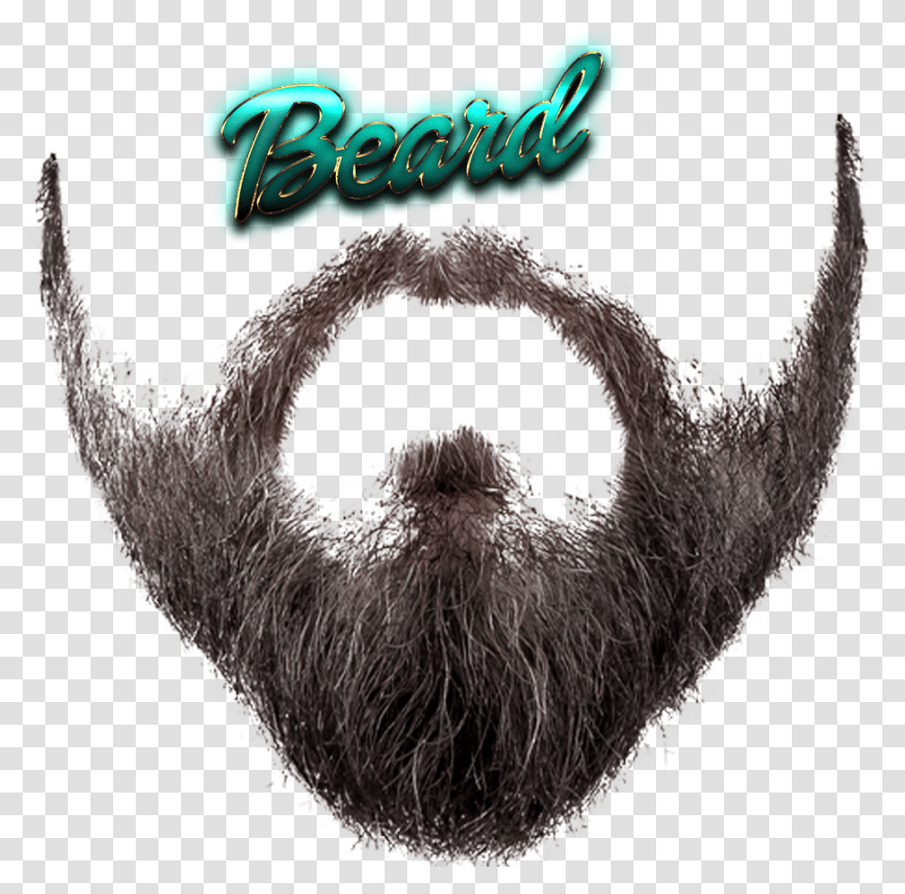 Download Beard Free Image Background Beard, Sheep, Mammal, Animal, Face Transparent Png