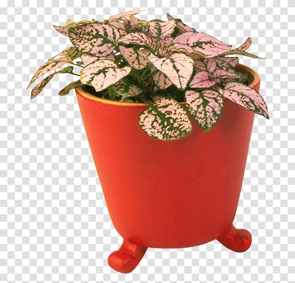 Download Beautiful Creative Flower Pot Bonsai Green Plant Vector, Potted Plant, Vase, Jar, Pottery Transparent Png