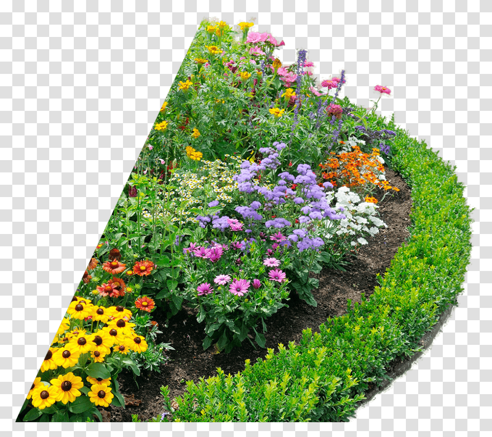 Download Beautiful Flower Bed Perennial Flower Garden Layout, Plant, Geranium, Outdoors, Potted Plant Transparent Png