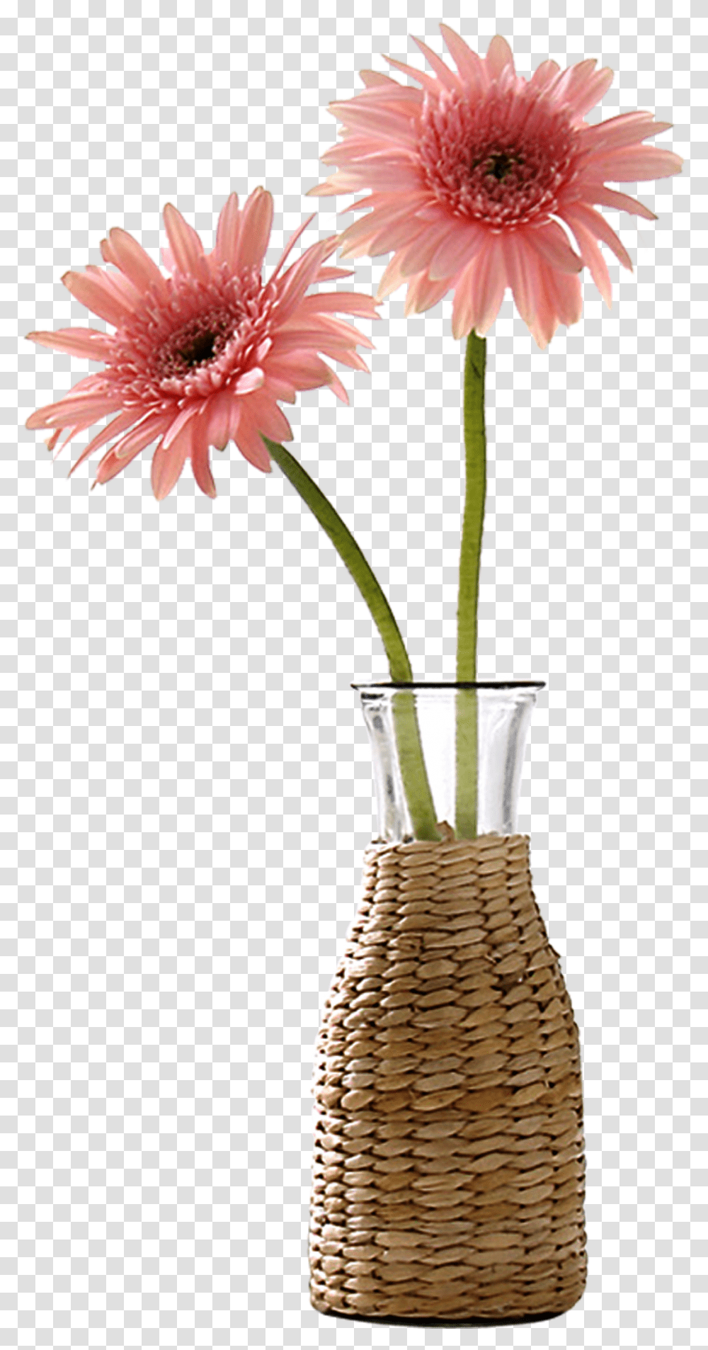 Download Beautiful Vase Flower Decoration Vector Vase Vase With A Flower, Plant, Blossom, Daisy, Daisies Transparent Png