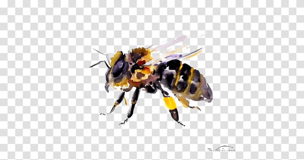 Download Bee Background Watercolor Painting, Apidae, Insect, Invertebrate, Animal Transparent Png