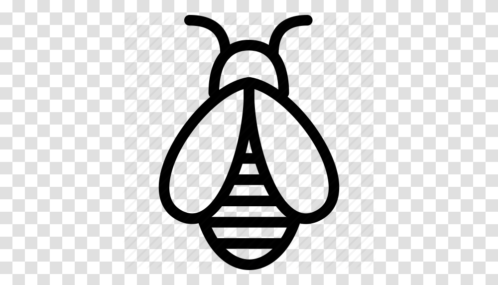 Download Bee Outline Vector Clipart Western Honey Bee Insect Bee, Hourglass, Piano, Leisure Activities, Musical Instrument Transparent Png