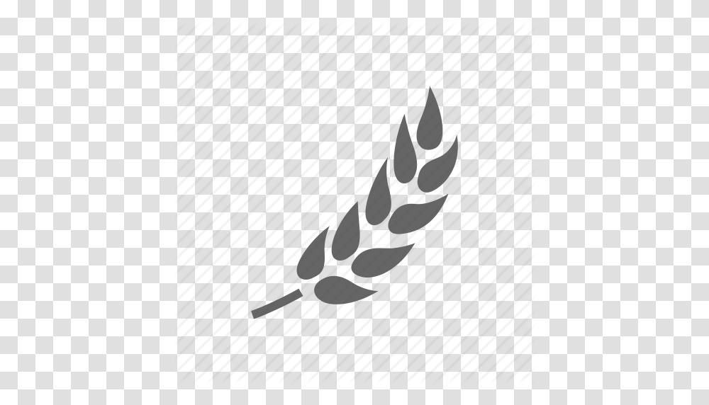 Download Beer Wheat Icon Clipart Wheat Beer Clip Art Beer Wheat, Plant, Vegetable, Food Transparent Png