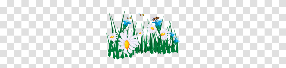 Download Bees On Flowers Clip Art Clipart Bee Clip Art, Plant, Daisy, Petal, Aster Transparent Png
