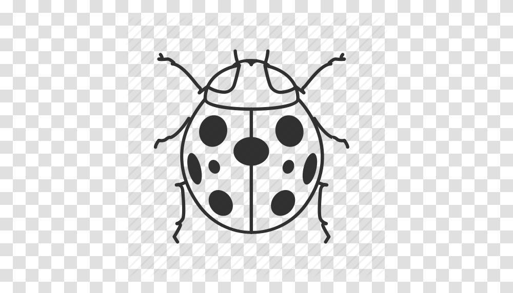 Download Beetle Clipart Ladybird Beetle Clip Art Ladybird, Pot Transparent Png