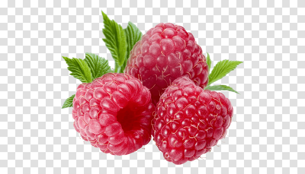 Download Berries File Raspberry Fruit, Plant, Food Transparent Png