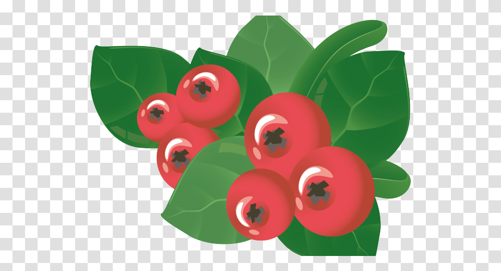 Download Berry Clipart Mango Crown Of Thorns Image Goodberry, Plant, Fruit, Food, Cherry Transparent Png