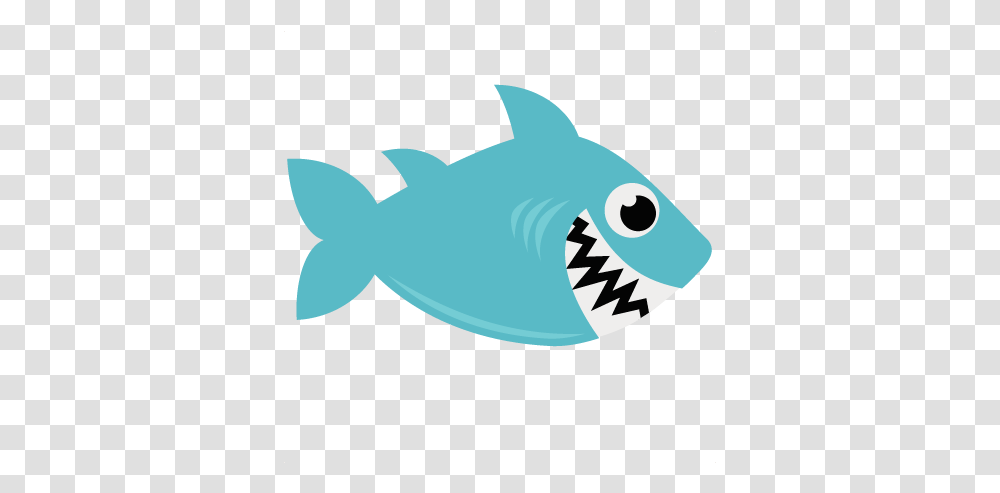 Download Best Of Twitter Icon Background Cartoon Shark Background, Sea Life, Fish, Animal, Mammal Transparent Png