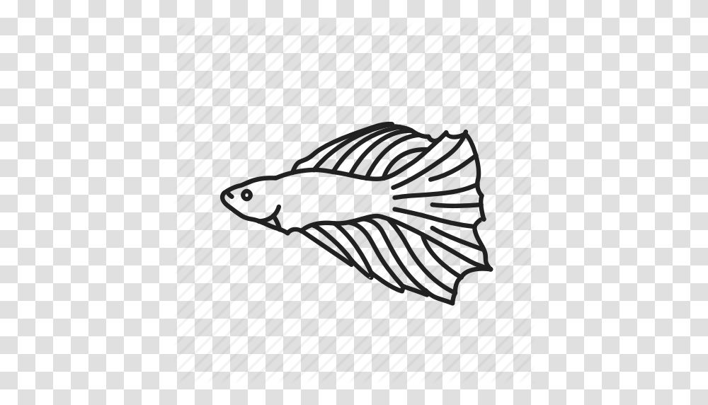 Download Betta Fish Icon Clipart Siamese Fighting Fish Aquarium, Bag, Transportation Transparent Png