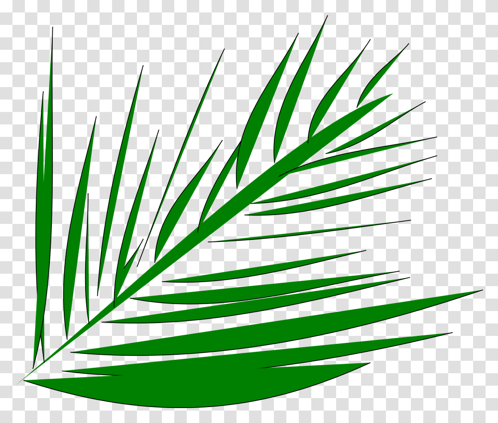 Download Big Image Palm Leaves Clipart Full Palm Trees Clip Art Branches, Leaf, Plant, Green, Fern Transparent Png