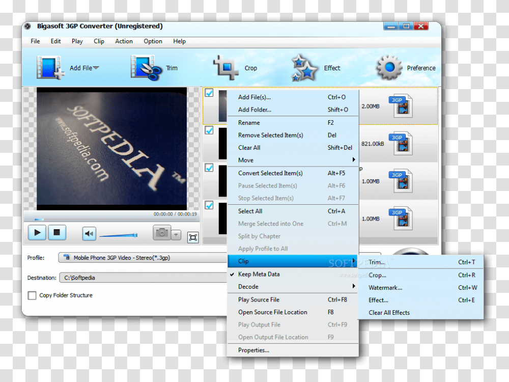 Download Bigasoft 3gp Converter 3 Vertical, Word, File, Webpage, Text Transparent Png