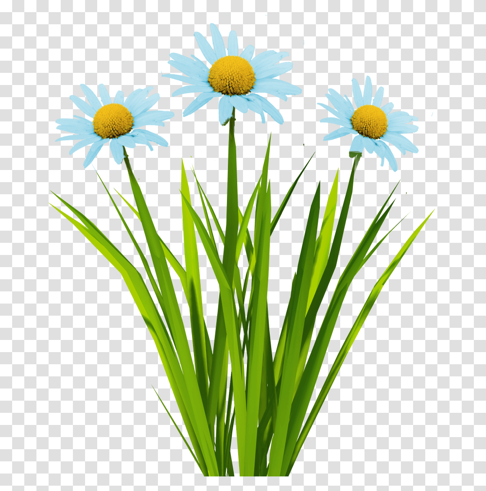 Download Billboard Texture Flower Grass Cartoons, Plant, Daisy, Daisies, Blossom Transparent Png