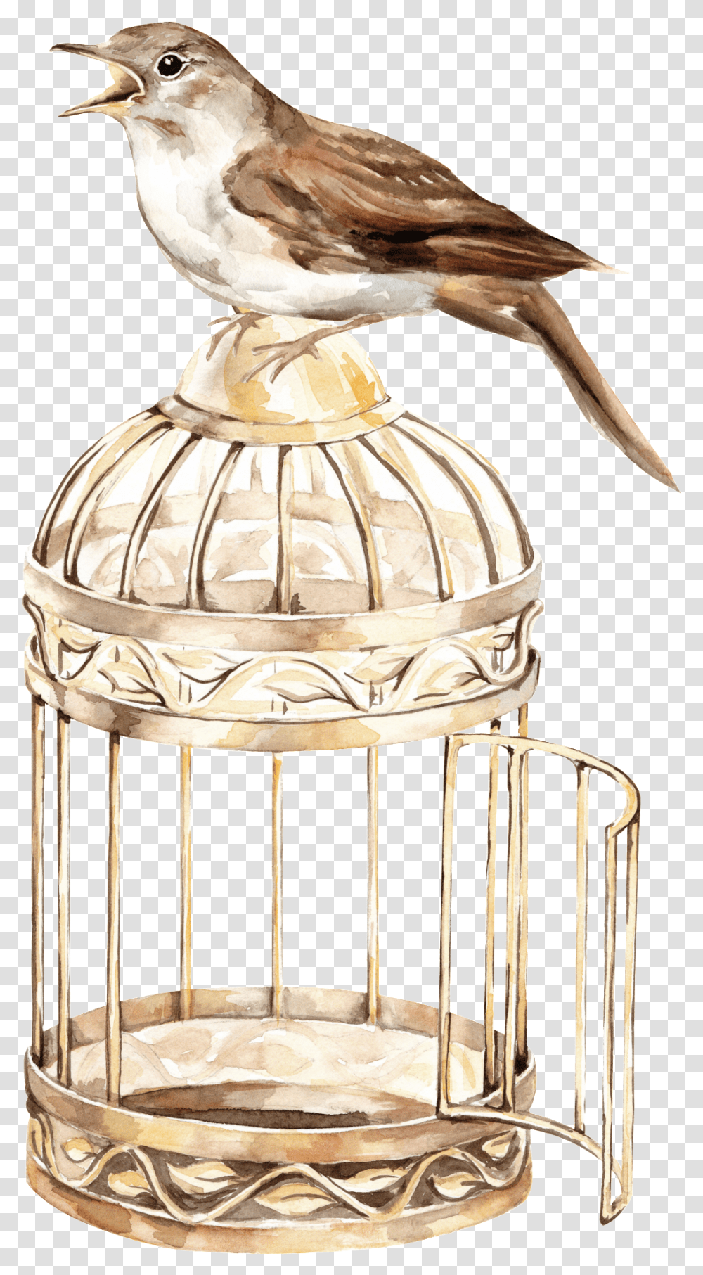 Download Bird Cage Background Full Size Background Bird Cage, Animal, Furniture, Lamp, Screen Transparent Png