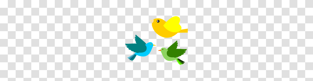 Download Bird Category Clipart And Icons Freepngclipart, Canary, Animal, Finch Transparent Png