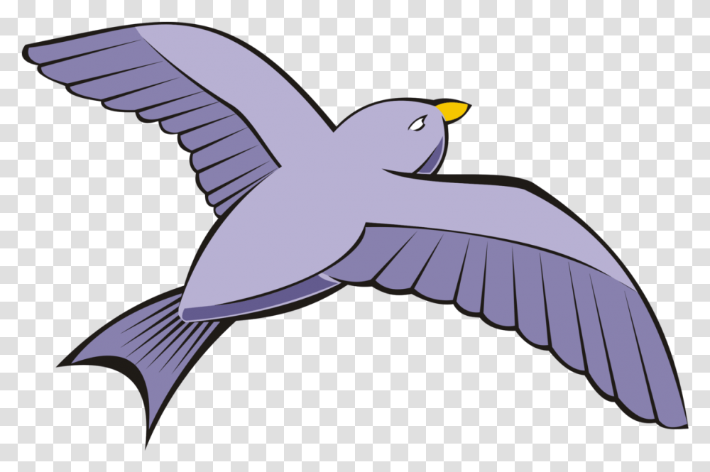 Download Bird Columbidae Rock Dove Bird Flying Clipart, Animal, Pelican, Jay, Penguin Transparent Png