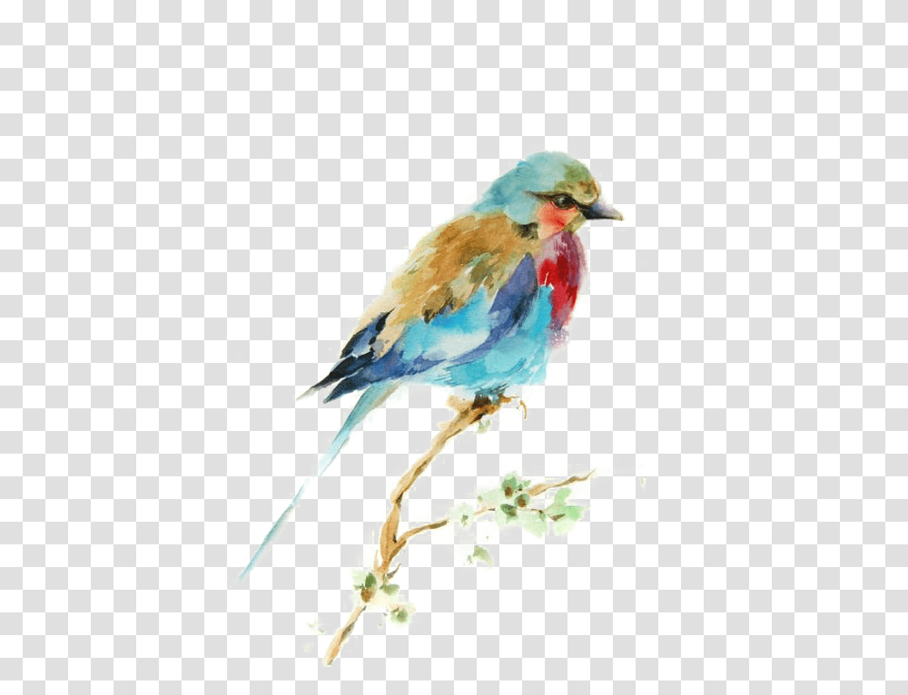 Download Bird Watercolor Printmaking Drawing Painting Birds Best Watercolor Paintings Of Bird, Animal, Bluebird, Jay, Blue Jay Transparent Png