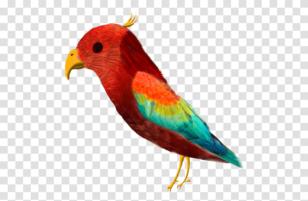 Download Birds Macaw Full Size Image Pngkit Parrots, Animal, Beak Transparent Png