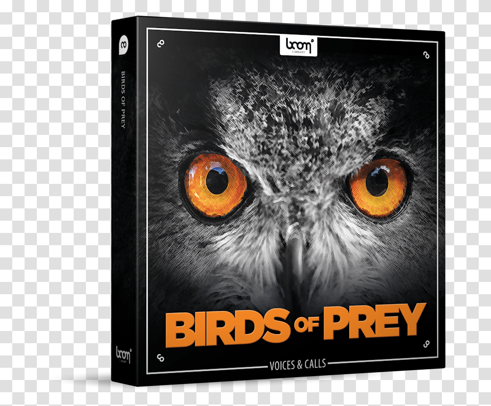 Download Birds Of Prey Sound Effects Library Product Box Bird Of Prey, Owl, Animal, Poster, Advertisement Transparent Png