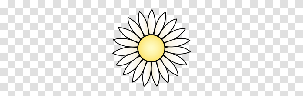 Download Black And White Flower Clipart Flower Clip Art Flower, Plant, Daisy, Daisies, Blossom Transparent Png