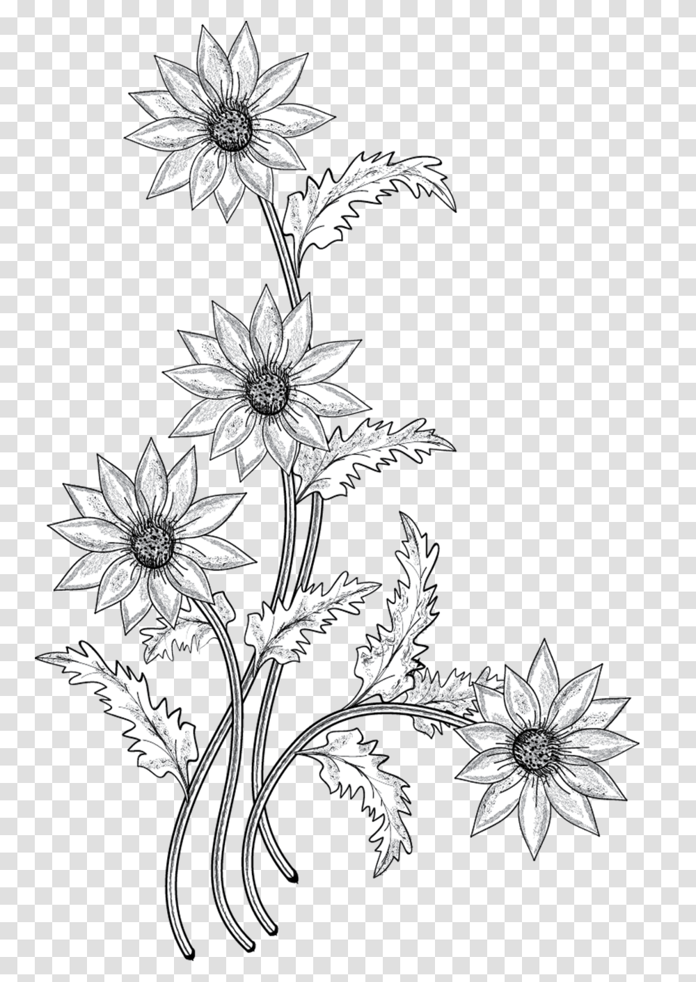 Download Black And White Flower With Stem Clipart Flower Flower Drawing, Floral Design, Pattern, Graphics, Plant Transparent Png