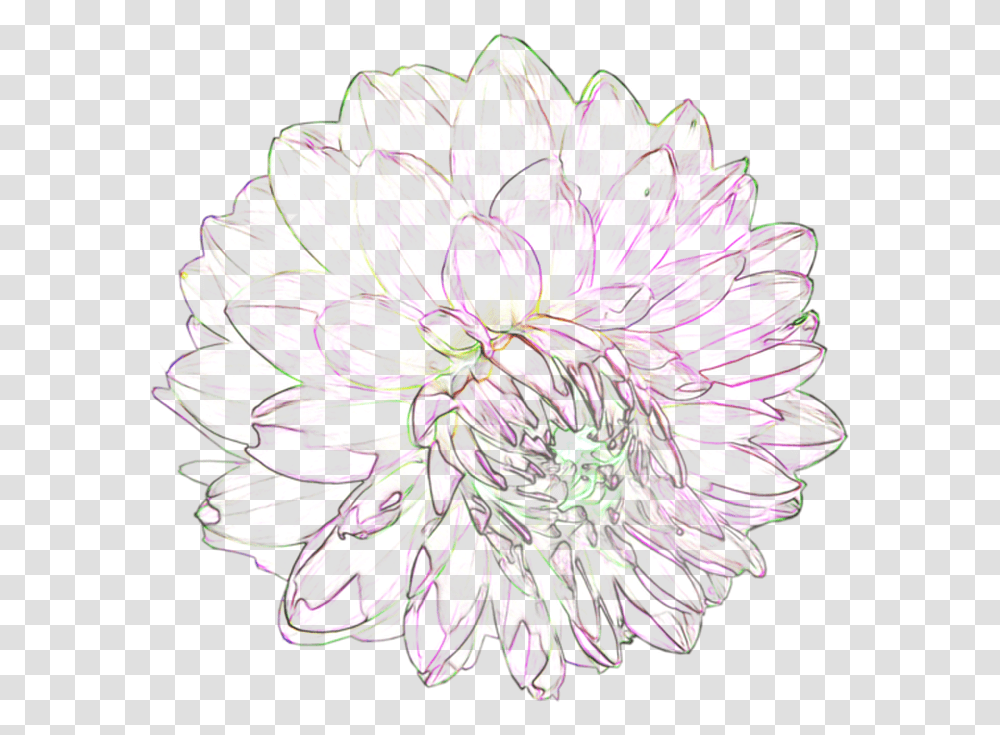 Download Black And White Flowers Tumblr Common Zinnia, Purple, Light, Neon, Pattern Transparent Png