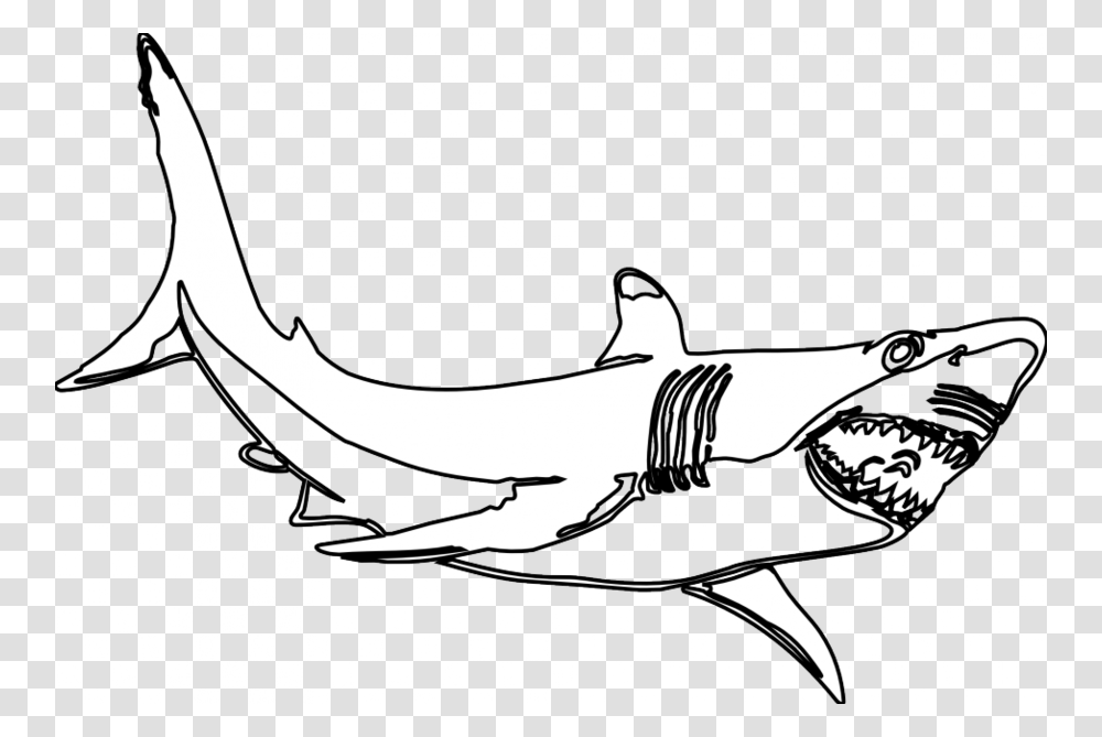 Download Black And White Shark Clip Art Clipart Great White Shark, Sea Life, Fish, Animal, Bird Transparent Png