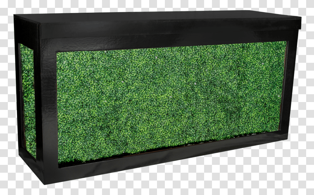 Download Black Cambio Bar With Green Table, Rug, Furniture, Screen, Electronics Transparent Png