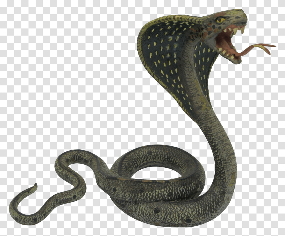 Download Black Mamba King Cobra Snakes, Reptile, Animal Transparent Png