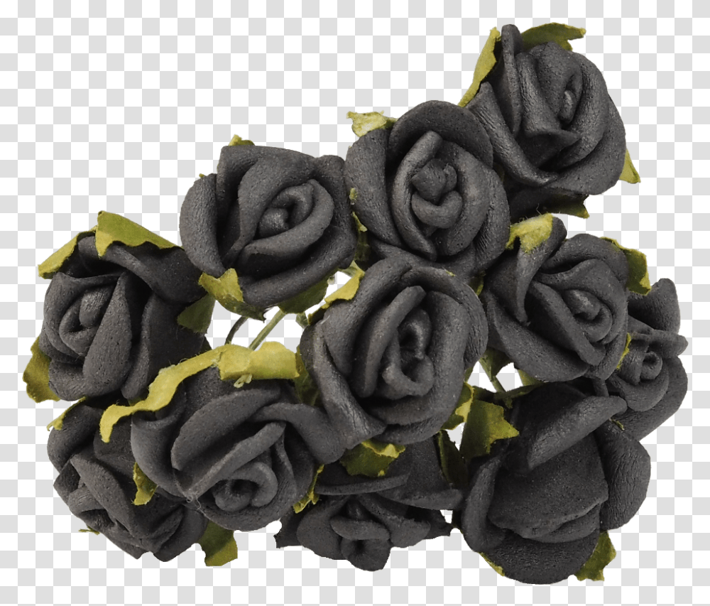 Download Black Rose Roses Flower Black Rose, Plant, Hair Slide Transparent Png