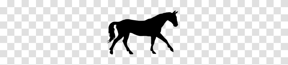 Download Black Silhouette Horse Clipart Horse Equestrian Clip Art, Animal, Invertebrate, Insect, Bow Transparent Png