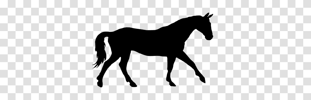 Download Black Silhouette Horse Clipart Horse Equestrian Clip Art, Mammal, Animal, Canine, Pet Transparent Png