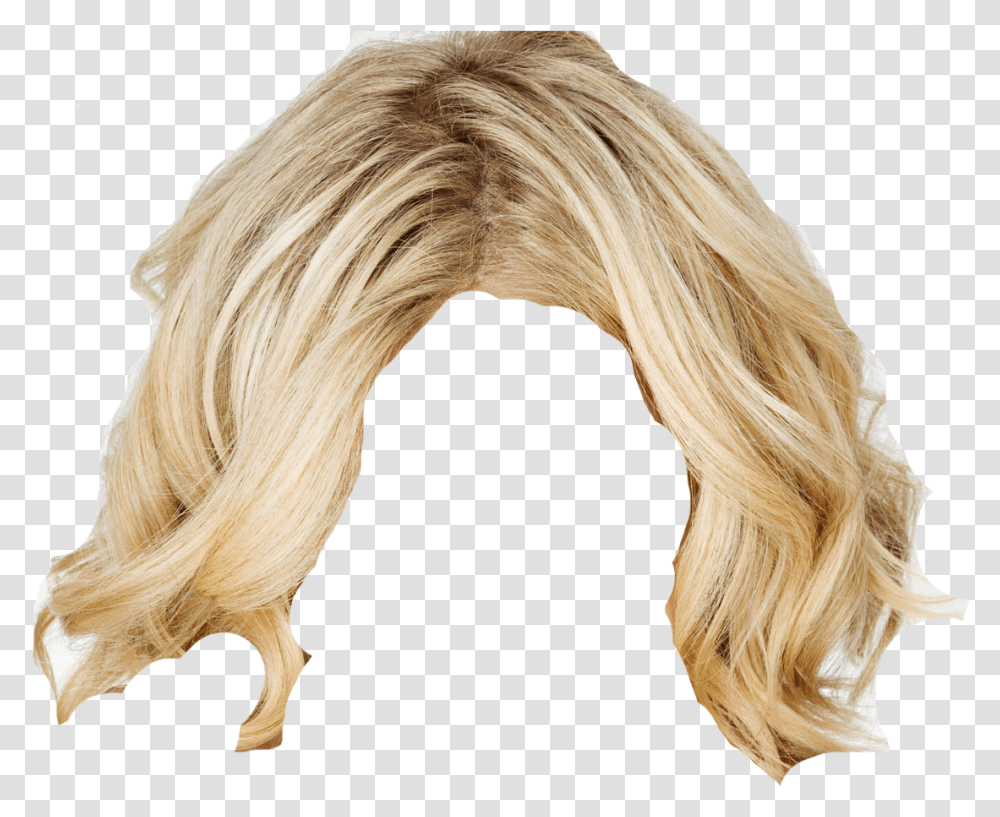 Download Blonde Hair Ponytail, Wig, Bird, Animal, Horse Transparent Png