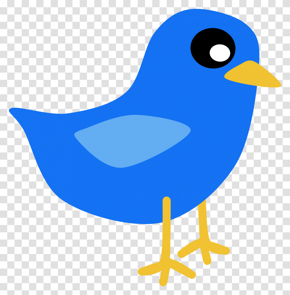 Download Blue Bird Vector Art Clipart Blue Bird Cartoon Easy, Nature, Outdoors, Animal Transparent Png