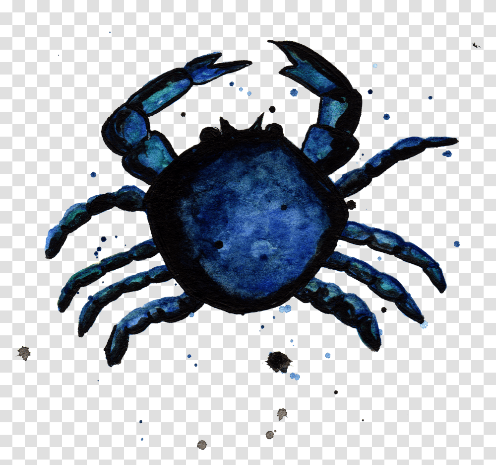Download Blue Crab By Chrystal Elizabeth Water Image Cancer Transparent Png