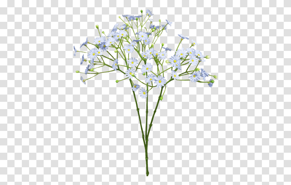 Download Blue Cut Bouquet Breath Flower Baby's Breath Baby's Breath Flower, Plant, Blossom, Daisy, Pollen Transparent Png