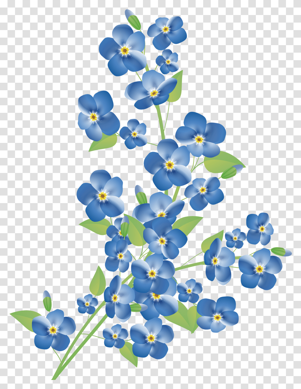 Download Blue Flower Grasses Photography Scorpion Royalty Forget Me Not Flower, Plant, Blossom, Pansy, Iris Transparent Png