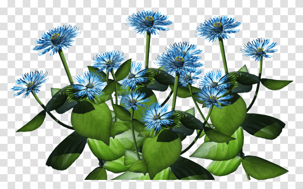 Download Blue Plant Flower Bush Full Bush Plants, Blossom, Agapanthus, Petal, Apiaceae Transparent Png
