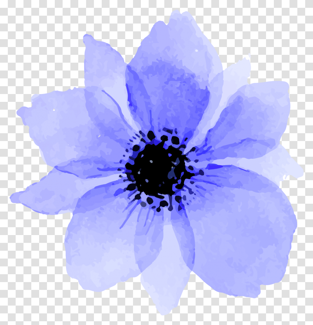 Download Blue Purple Flowers Flower Watercolor Flower, Anemone, Plant, Blossom, Pollen Transparent Png