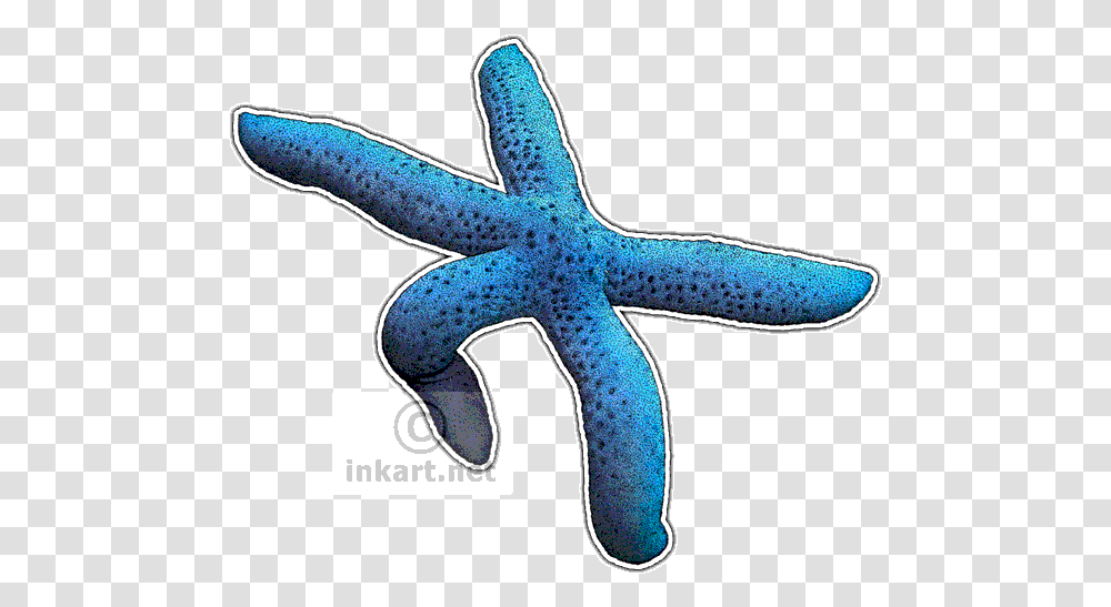 Download Blue Sea Star Decal Starfish Image With No Drawing, Sea Life, Animal, Invertebrate, Axe Transparent Png