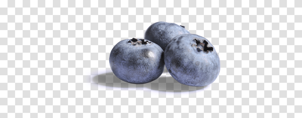 Download Blueberries Clipart Blueberries With No Blueberry Berries Background, Plant, Fruit, Food Transparent Png