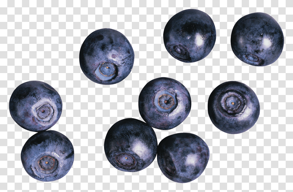 Download Blueberries Image For Free Black Currant And Blueberry Transparent Png