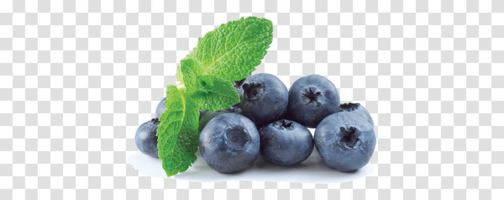 Download Blueberry Blueberry, Fruit, Plant, Food, Bird Transparent Png