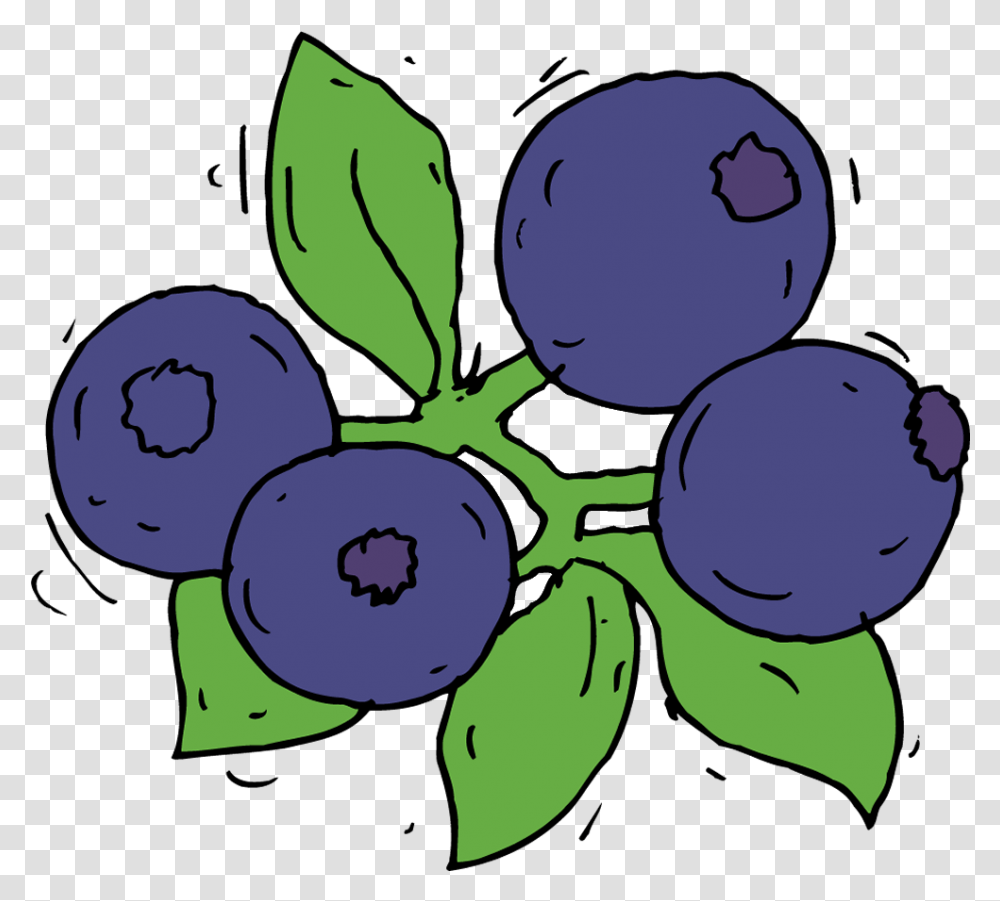 Download Blueberry Collection Fruit Draw Blue Berry Drawing Fruits Images Blueberry, Plant, Food, Sunglasses, Accessories Transparent Png