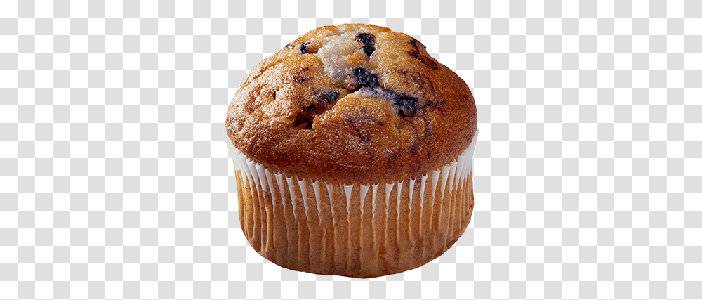 Download Blueberry Muffin Image Baking, Dessert, Food, Fungus, Cupcake Transparent Png