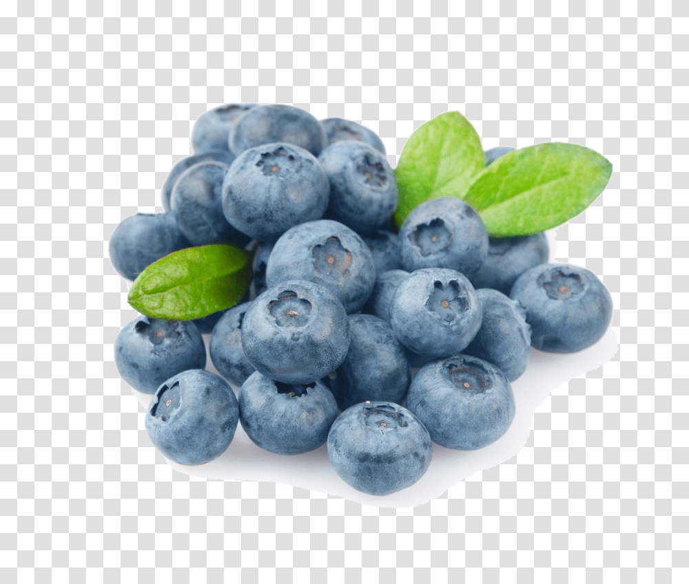 Download Blueberry Photo Fresh Blueberries, Plant, Fruit, Food Transparent Png
