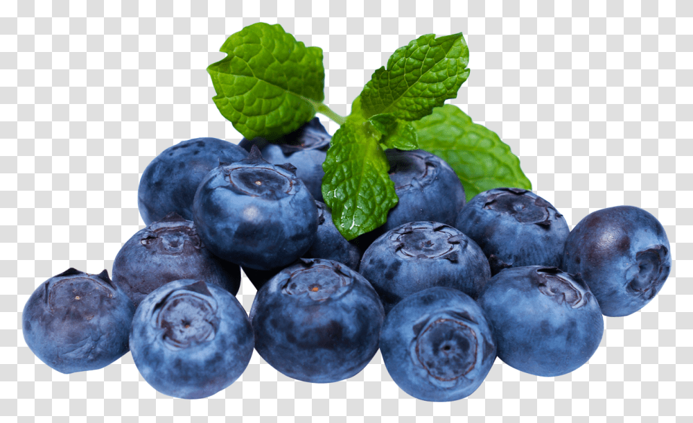 Download Blueberry With Leaf Image Blueberries, Plant, Fruit, Food, Bird Transparent Png