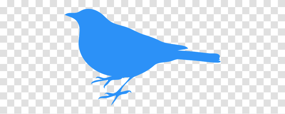 Download Bluebird Bird Animal Blue Bird Silhouette Clip Art, Jay, Canary, Finch, Dove Transparent Png