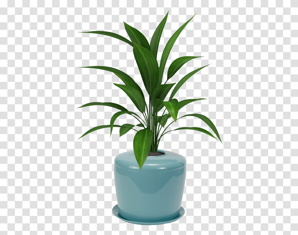 Download Bonsai Urn Ceramic Cremation For A Tree Plant With White Background, Flower, Blossom, Pot, Palm Tree Transparent Png