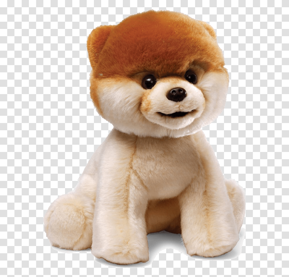 Download Boo Dog File Boo Stuffed Animal, Plush, Toy, Teddy Bear Transparent Png